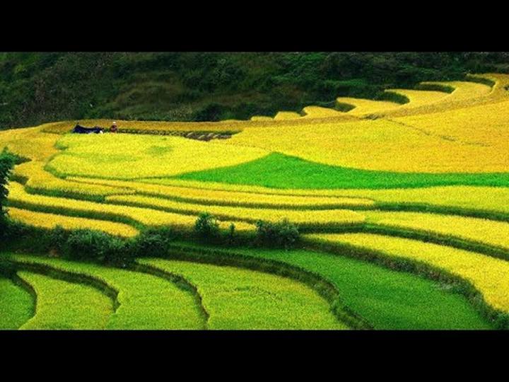 Quẹt thẻ cực chất, chạm ngay - Cảm hứng video marketing từ Hotspot Matrix