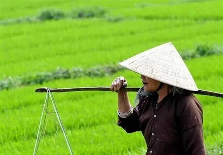Hotspot Matrix: Biến “Khối nghỉ hè” Gen Z lên kế thành cơ hội marketing đột phá