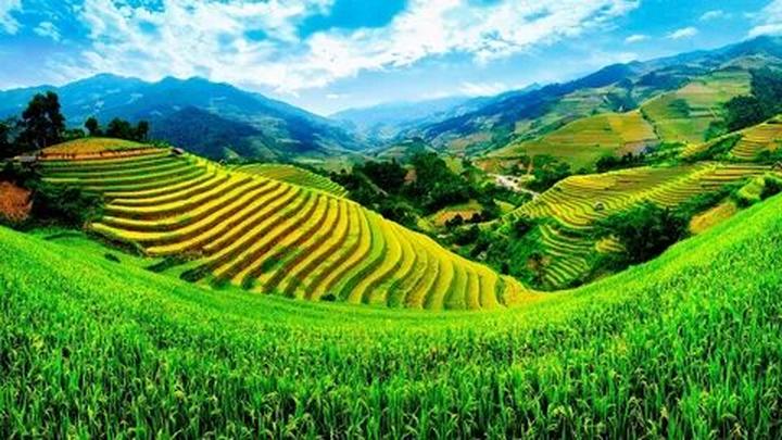 Chuyên gia Hotspot Matrix phân tích: Từ Angela Phương Trinh gây và marketing video