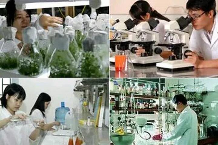 Xu hướng Gánh nặng làm con nhà: Hotspot Matrix tiết lộ bí quyết video viral